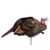 Dave Smith Decoy Turkey Flock Decoys Nexgen Outfitters Dave Smith Decoy Turkey Flock Decoys Nexgen Outfitters