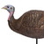 Primos Lil' Gobbstopper Hen Turkey Decoy Nexgen Outfitters