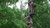 HSS Lifeline System Two-Man Set Nexgen Outfitters HSS Lifeline System Two-Man Set Nexgen Outfitters