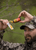 Wildlife Research Pro-Wick Scent Dispensers 4 pk Nexgen Outfitters