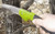 HME Folding Saw Nexgen Outfitters