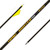Gold Tip Hunter Pro Arrow 400 Raptor Vanes 6 pk. Nexgen Outfitters Gold Tip Hunter Pro Arrow 400 Raptor Vanes 6 pk. Nexgen Outfitters