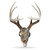 Mountain Mikes Skull Master Fall Camo Nexgen Outfitters