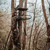Muddy Boss XL Treestand Nexgen Outfitters