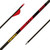 Gold Tip Hunter 300 Arrow with Raptor Vanes, GT Nock and Accu-Lite Insert Nexgen Outfitters