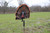 Mojo Outdoors Fatal Fan Turkey Decoy In the Field Mojo Outdoors Fatal Fan Turkey Decoy In the Field