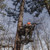 Summit 180° Max SD "Sound Dampening" Climbing Treestand Nexgen Outfitters