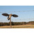 MOJO Voodoo Dove Nexgen Outfitters MOJO Voodoo Dove Nexgen Outfitters