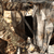 Muddy THE VS360 Ground blind Nexgen Outfitters
