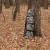 Muddy THE VS360 Ground blind Nexgen Outfitters