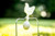 Do All Outdoors Chicken and Egg Target