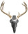 Do All Outdoors Iron Buck Trophy Mounting System