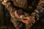 Tink's #69 Doe in Rut Deer 2.75oz Synthetic Scent Stick Nexgen Outfitters Tink's #69 Doe in Rut Deer 2.75oz Synthetic Scent Stick Nexgen Outfitters