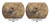 Sig Sauer ZULU6 HDX Pro 18x50mm Binoculars Nexgen Outfitters