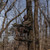 Summit Viper SD Realtree Timber Climber Nexgen Outfitters