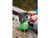 Optimus Optimus Sparky Nexgen Outfitters Optimus Optimus Sparky Nexgen Outfitters
