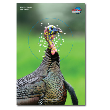 Buy Kapow Outdoors Reactive 12â€ x 18â€ Turkey Target - 10-pack at