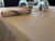 Milliken Signature TableCloths 52 X 52