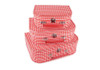 Red Gingham Stacking Storage Cases (Set of 3)