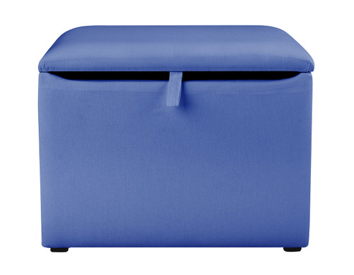 An image of Blue Toy Box