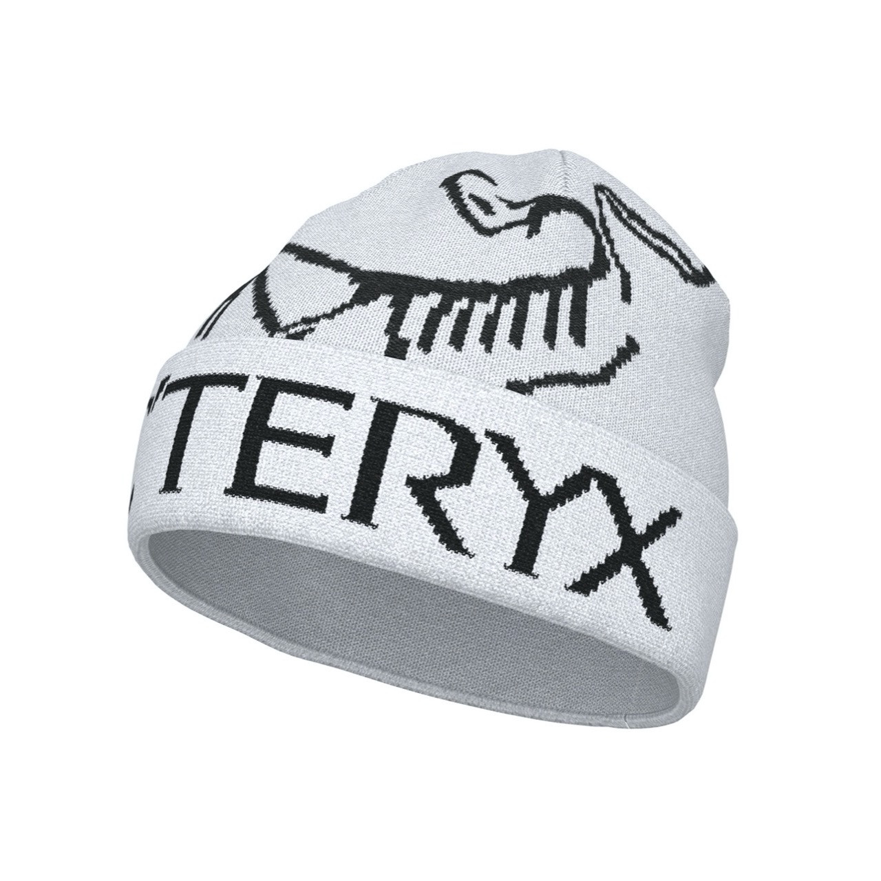 帽子 PYTHEAS ARC'TERYX BIRD WORD TOQUE Arc'teryx BIRD WORD Pytheas/Lampyre Beanie