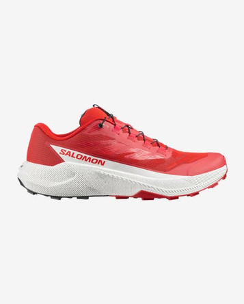 Salomon Men's Pulsar