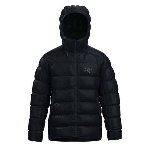 Arc'teryx Mens Cerium SV Hoody - Cole Sport