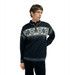 Dale of Norway  Men's Blyfjell Sweater