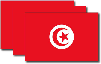 Tunisia Flag Sticker (3 Pack)