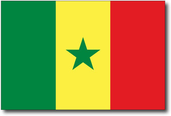 Senegal Flag Magnet