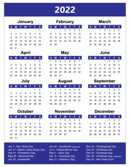 Blue 2022 Full Yearly Calendar Sticker by DCM Solutions