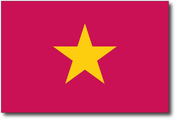 Vietnam Flag Magnet
