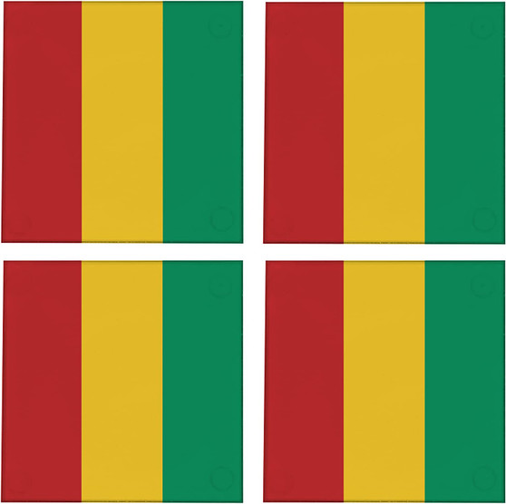 Guinea Flag 3.5" Square Glass Coasters by DCM Solutions