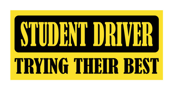 Trying Their Best Student Driver Bumper Magnet by DCM Solutions