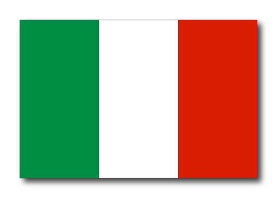 Italian Flag Bumper Magnet by DCM Solutions