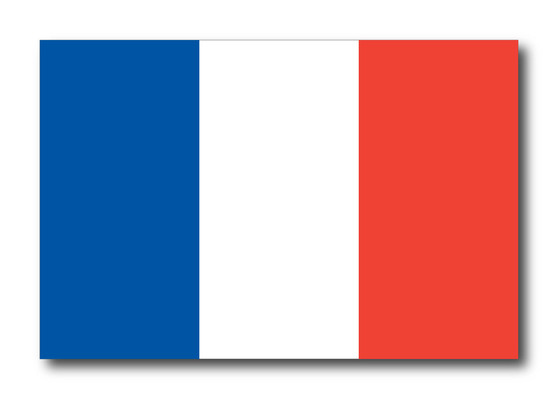 French Flag Bumper Magnet by DCM Solutions