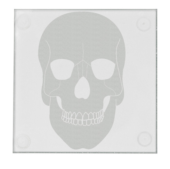 Etched Halloween Skull 3.5" Square Glass Coasters by DCM Solutions
