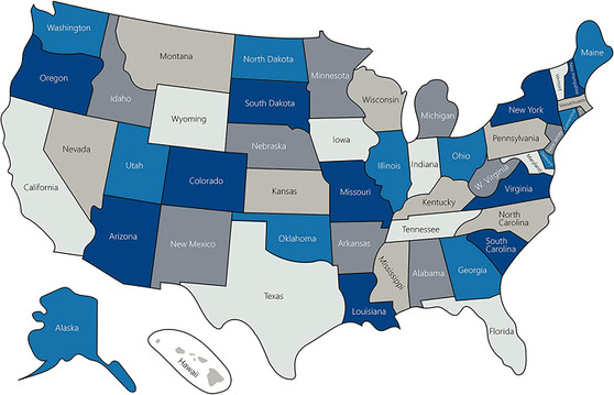 United States Magnetic Map by DCM Solutions (Blue, 18"W x 11"H)