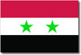 Syria Flag Magnet