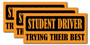 Orange Trying Their Best Student Driver Bumper Sticker 3 Pack by DCM Solutions