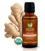 Paradise Springs Organic Ginger Oil - 1 oz (30mL)