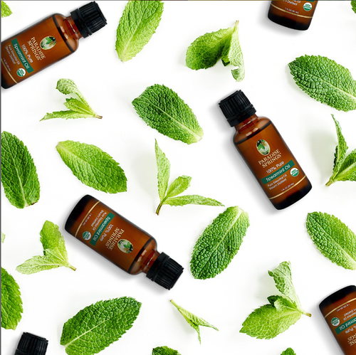 Paradise Springs Organic Spearmint Oil - 1 oz (30mL)