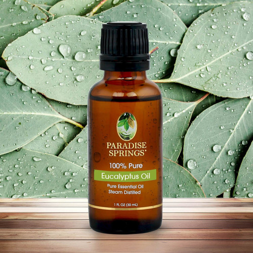 Paradise Springs eucalyptus oil