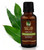 Paradise Springs Eucalyptus Oil - 1 oz (30mL) Paradise Springs Eucalyptus Oil - 1 oz (30mL)
