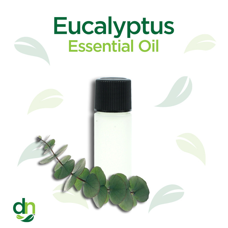 Eucalyptus Oil