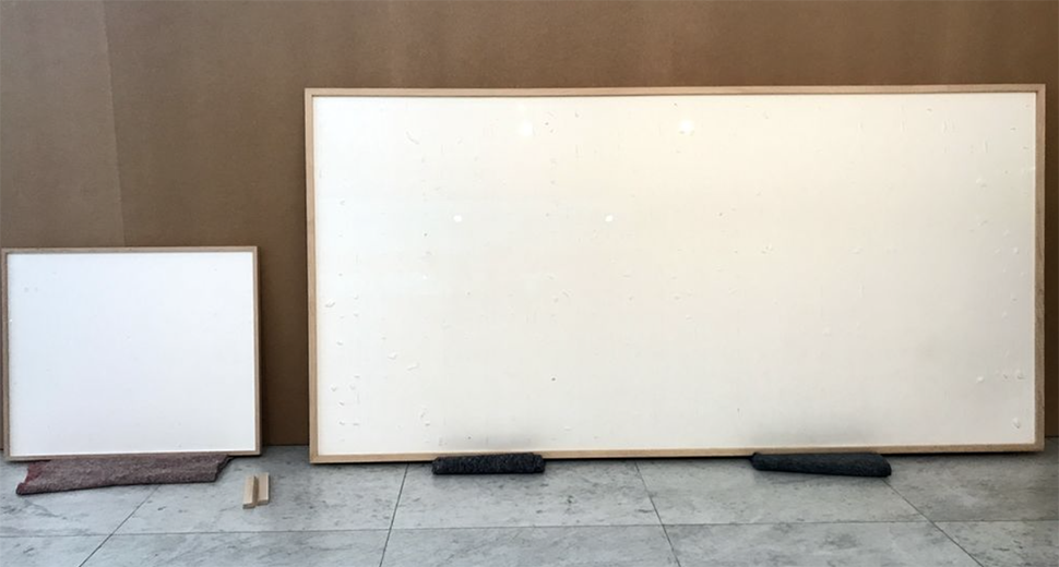 "Take the Money and Run" - Danish Artist Takes Museum’s Money and Runs, Calls It Artwork