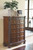 North Shore Dark Brown 8 Pc. Dresser, Mirror, Chest, California King Poster Bed with Canopy