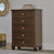 Danabrin Brown Five Drawer Chest