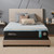 Tempur-Pedic® ProBreeze® Mattress