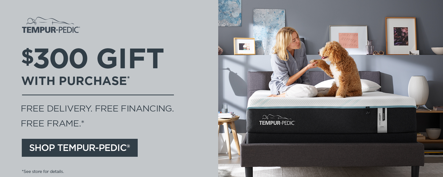 Shop Tempur-Pedic